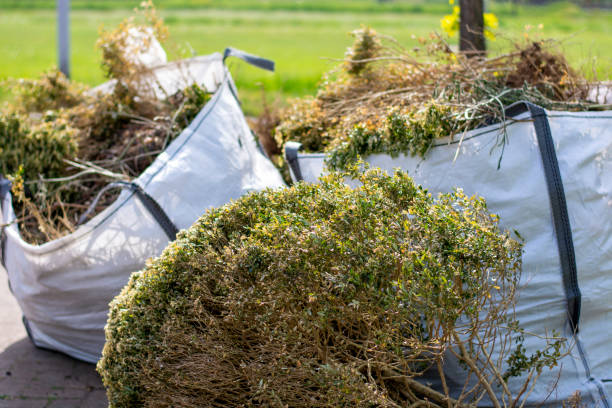 Best Shed Removal  in Lumbine, CO
